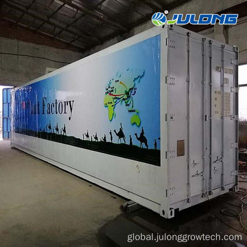 Grow Container Hydroponics Hydroponic System Container Farm Greenhouse Factory